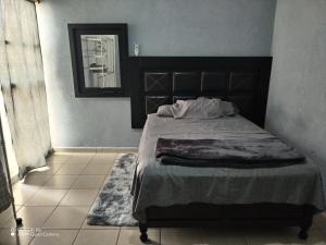 ein Schlafzimmer mit einem Bett mit Spiegel und einem Teppich in der Unterkunft Depa totalmente climatizado y tranquilo in Valente Díaz y La Loma + 9 Fotos