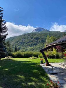 a backyard with a view of a mountain at Maison Amore Serre Chevalier in Saint-Chaffrey +27 photos