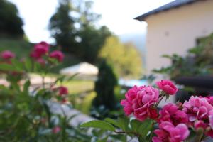 Afbeelding uit fotogalerij van Rajske doline in Oćune +35 foto's