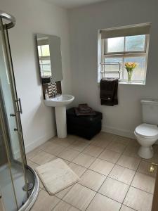 un bagno con doccia, lavandino e WC di Mollys Cottage Molly Road Doon Derrylin a Derrylin