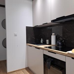 Kuchyň nebo kuchyňský kout v ubytování Apartament Gołębiewscy