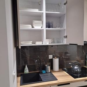 Kuchyň nebo kuchyňský kout v ubytování Apartament Gołębiewscy + 29 fotografií