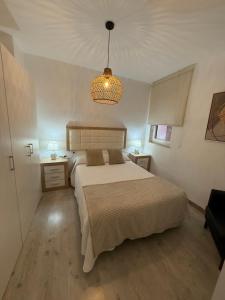 een slaapkamer met een groot bed en een kroonluchter bij Apartamento Azonaicas in Córdoba