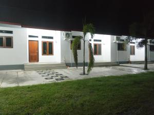 a white house with a palm tree in front of it at Syariah Ampana Guest House in Dondo