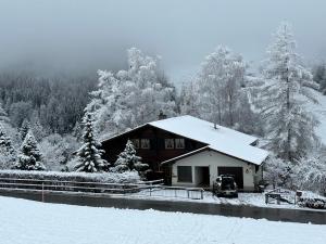 Chalet Finkenwiese talvel
