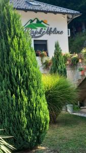 Afbeelding uit fotogalerij van Rajske doline in Oćune