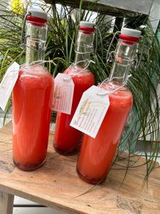 Ποτά στο B&B Bad Tiefenau, HAUS AN DER QUELLE +110 φωτογραφίες