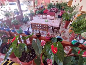 a room with a table and a bunch of potted plants at Quinta Rubi in Las Rosas