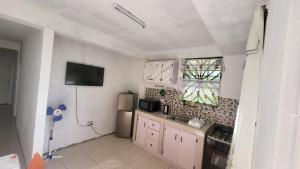Kuhinja oz. manjša kuhinja v nastanitvi Twyn Apartment