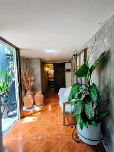a room with potted plants and a bed in it at Hermosa Finca El Castillo - Excelente Ubicación Rionegro Marinilla in Rionegro +56 photos