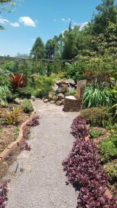 Κήπος έξω από το Jardins da Gastehaus