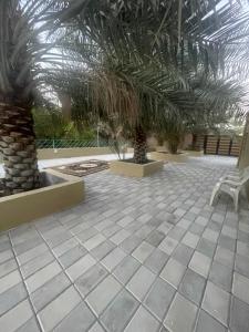 a patio with two palm trees and a bench at نزل نسيم الحمراء - nseem alhamra inn in Al Ḩamrāʼ