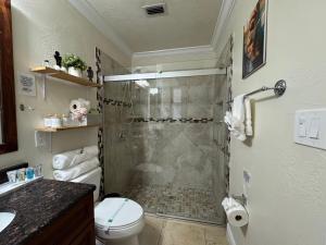 un baño con ducha y WC en Sunshine Nest, en Lehigh Acres 31 fotos más
