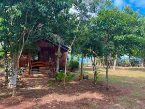 a small house in the middle of trees at SiQUIJOR SEA SHORE HOUSE in Siquijor