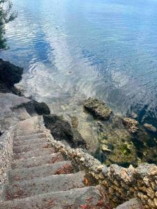 a set of steps leading into the water at SiQUIJOR SEA SHORE HOUSE in Siquijor +6 photos