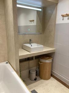 a bathroom with a sink and a mirror at Le DODU in Saint-Denis