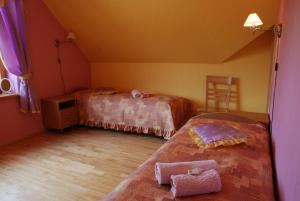 普里恩斯慕斯的住宿－Brīvdienu Māja Riekstnieki，阁楼上的卧室配有两张床