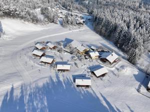 an aerial view of a village in the snow at Beim Waicher Chalets & Suiten zwischen Salzburg und Chiemsee in Ruhpolding