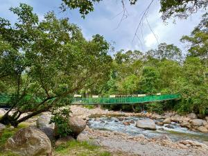 un ponte sopra un fiume con un treno che lo attraversa di Glamping a Tapah