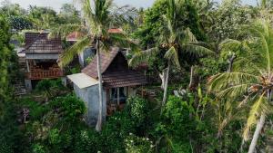 艾杜森林小屋旅馆外面的花园