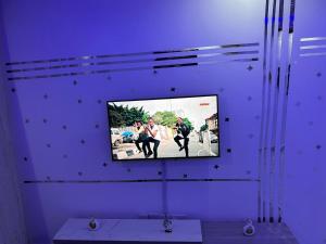 TV a/nebo společenská místnost v ubytování GRANDE BnBs