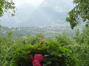 Een algemene foto van de bergen of uitzicht op de bergen vanuit het hotel