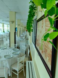 Restaurace v ubytování Hotel Triumph