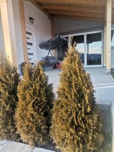 Galeri foto Apartmani NECA Zlatar di Nova Varos