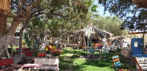 Κήπος έξω από το Villa Eleni