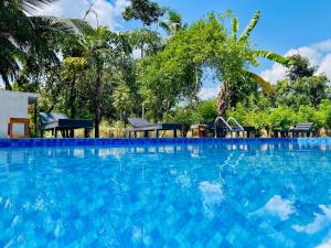 Bassein majutusasutuses Sigiriya River Side Resort või selle lähedal