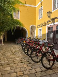 Jízda na kole v ubytování Hotel-Garni Goldenes Kreuz nebo okolí + 17 fotografií