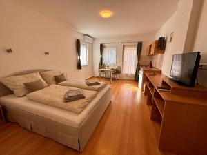 TV a/nebo společenská místnost v ubytování Akácfa B&B