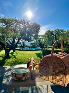 Zahrada ubytování Hotel Ulivi