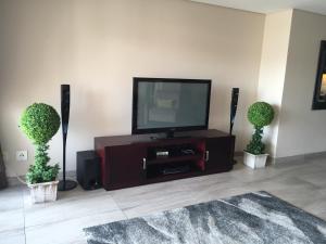 sala de estar con TV y 2 plantas en 12 Palm Boulevard en Durban