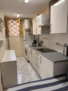 Kuchyň nebo kuchyňský kout v ubytování Olas + 10 fotografií