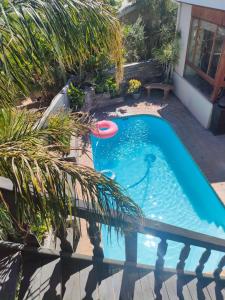 einen Pool mit Frisbee im Hof in der Unterkunft Leopard Tree Guesthouse in Springbok