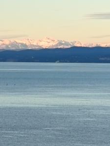 Gallery image of Sunrise SeaView Apartment Fiesa in Piran