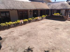 ein Gebäude mit Topfpflanzen im Innenhof in der Unterkunft Leopard Tree Guesthouse in Springbok