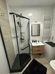 Koupelna v ubytování Słoneczne Apartamenty VIKI