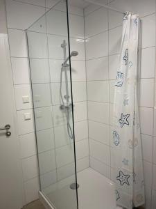 une douche avec une porte vitrée dans une salle de bain dans l'établissement Sehr schöne und Modernisierte Wohnung mit moderne Wohnraumlüftung, à Pfedelbach