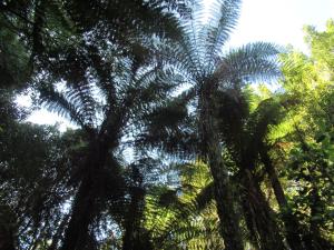 Φυσικό τοπίο κοντά σε αυτό το σαλέ