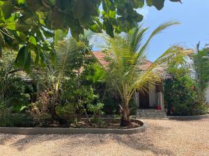 Κήπος έξω από το Makame Garden House