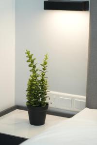 Postel nebo postele na pokoji v ubytování Moon Hotel