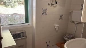 ein Badezimmer mit Toilette, Waschbecken und Fenster in der Unterkunft SISSI MENDEL Residence in Ronzone + 37 Fotos