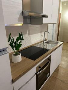 cocina con fregadero y maceta en Casa Piera, en Turín
