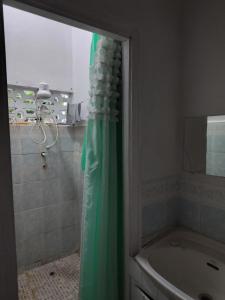 a bathroom with a green shower curtain next to a sink at BBV Properties in Belmont