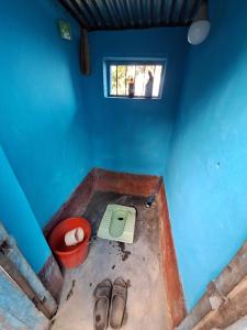 Una habitación azul con un inodoro y una ventana. en Dhankuta Community Homestay - Sipting, en Dhankutā