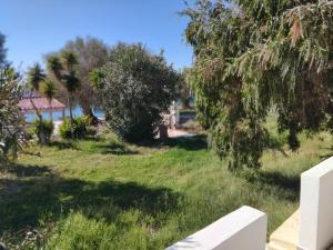 Gallery image of Petrakis Aris Beach Apartments in Léntas