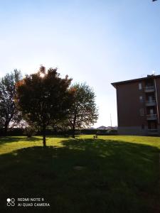 ein Baum auf einem Feld vor einem Gebäude in der Unterkunft A Crema da Nicola&Laura troverete Comfort e Relax in Crema + 24 Fotos