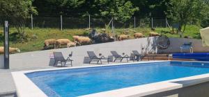 Billede fra billedgalleriet på Holiday House Marija i Otočac